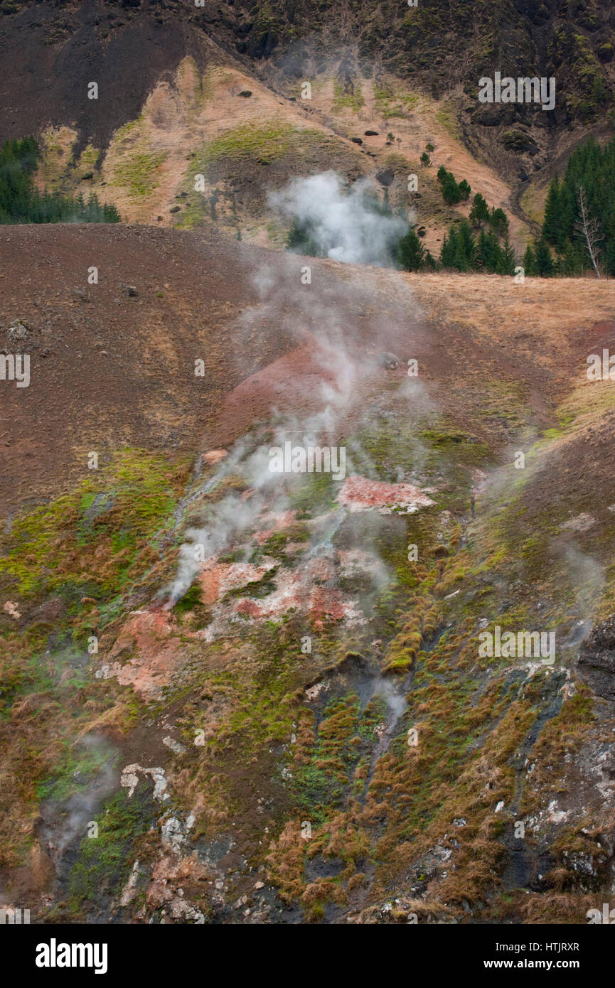 Sources d'eau chaude géothermique ou fumerolles,Hveragerdi, Islande Banque D'Images
