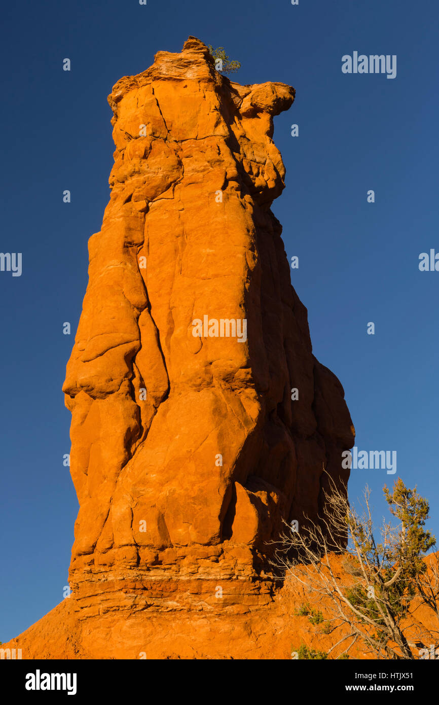 Fred Flinstone Sphire rock formation, Kodachrome Basin State Park, Utah, USA Banque D'Images