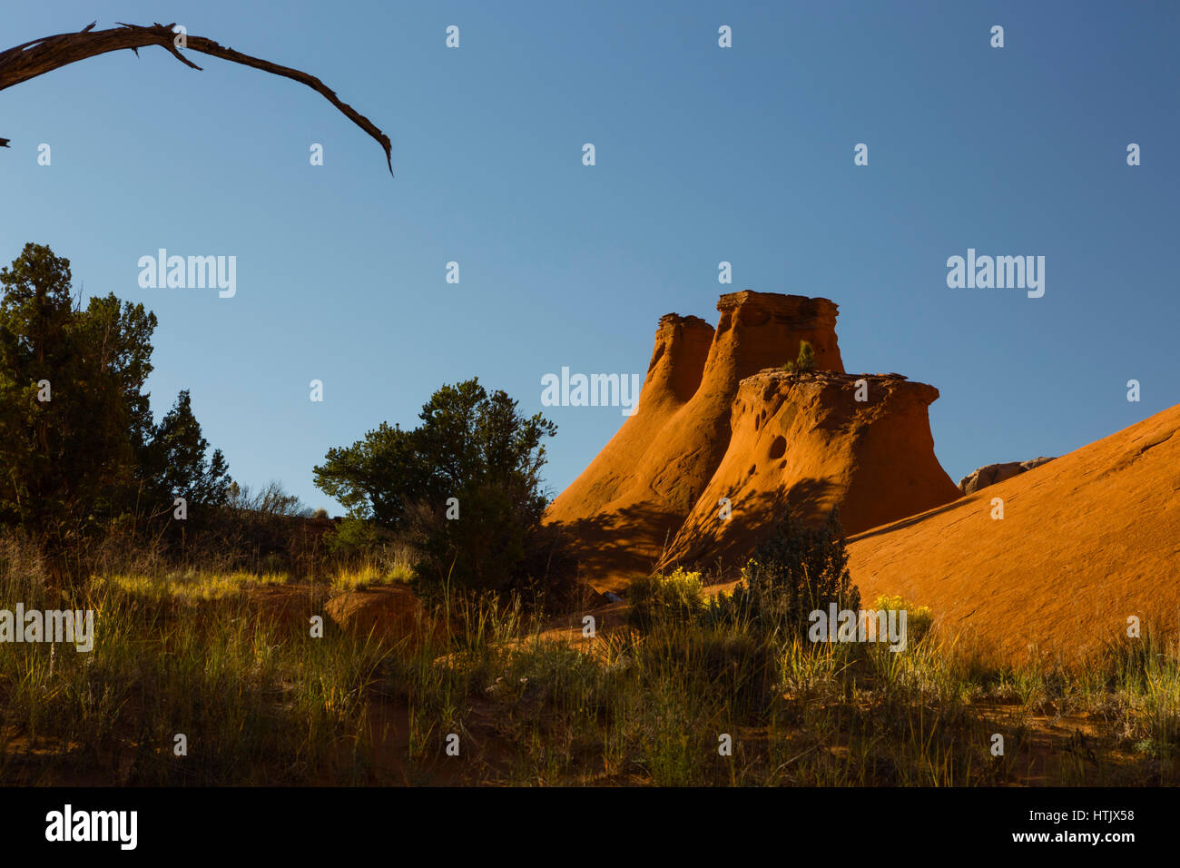 Des tipis rock formation, Kodachrome Basin State Park, Utah, USA Banque D'Images
