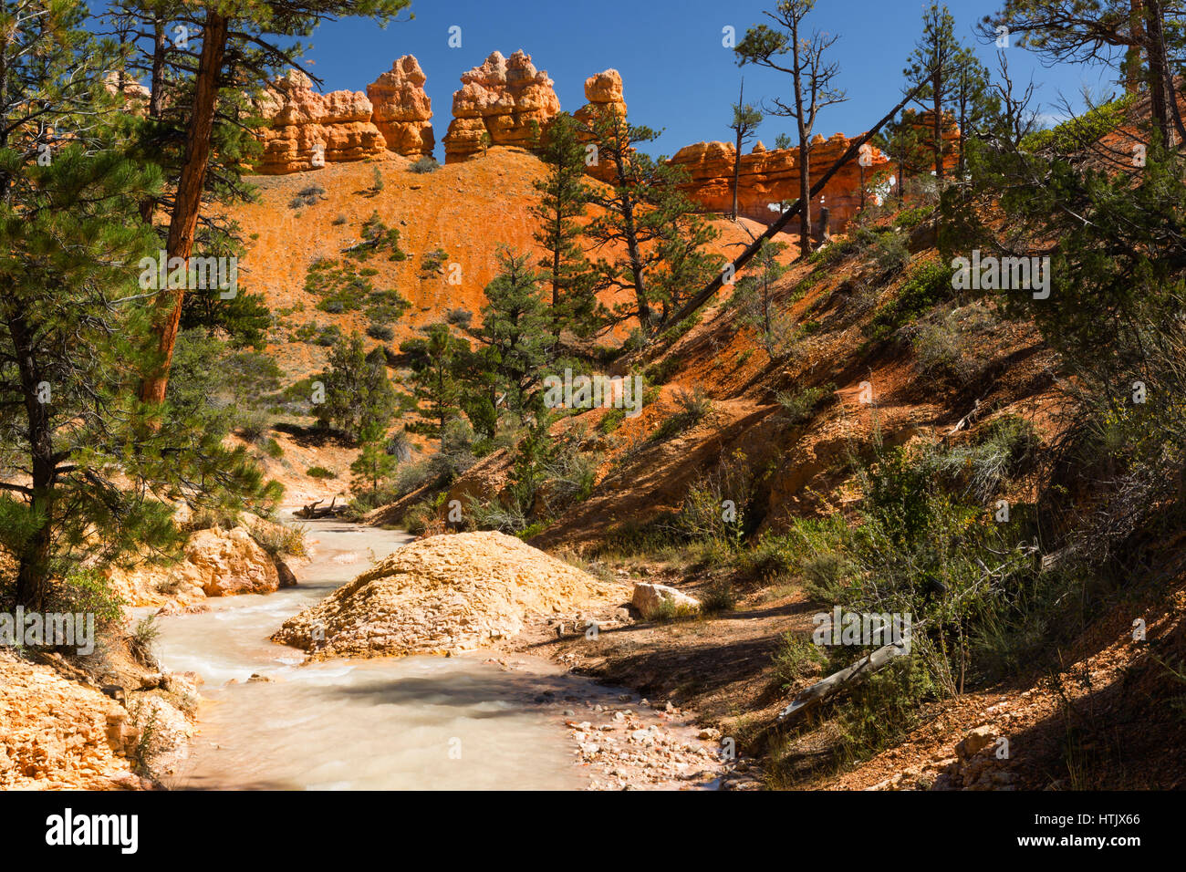 Diffuser dans l'eau Canyon, Bryce Canyon National Park, Utah, USA Banque D'Images