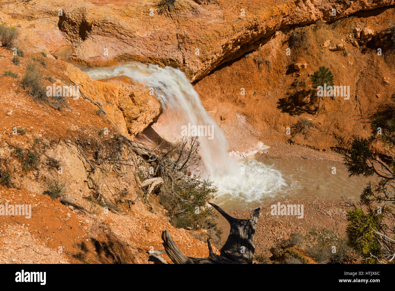 Dans l'eau Cascade Canyon, Bryce Canyon National Park, Utah, USA Banque D'Images