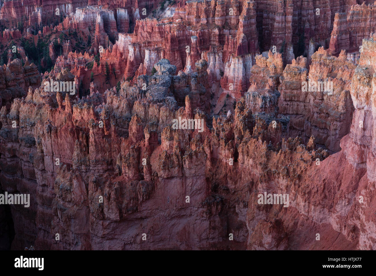 Wall Street rock formation, Bryce Canyon National Park, Utah, USA Banque D'Images