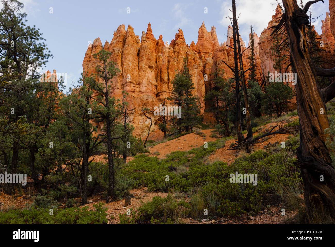 Silent City rock formation, Bryce Canyon National Park, Utah, USA Banque D'Images
