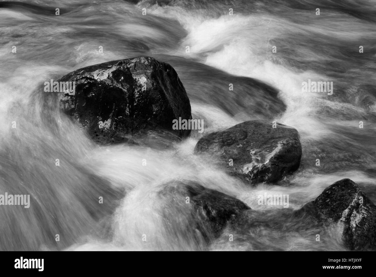 Courant Rapide de ruisseau de montagne et rochers Banque D'Images