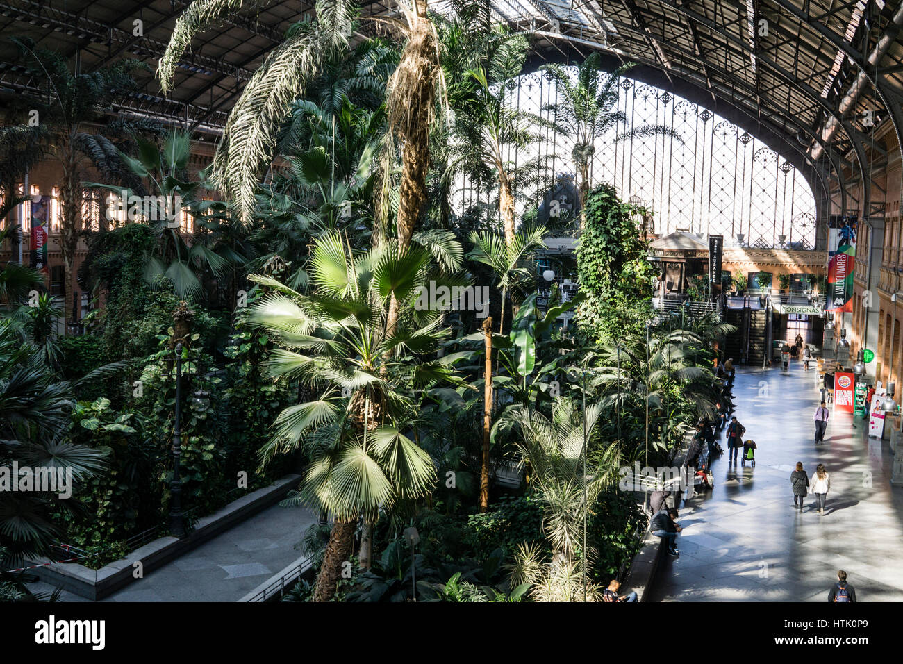 La gare Atocha de Madrid (jardin intérieur), Madrid, Espagne. Banque D'Images