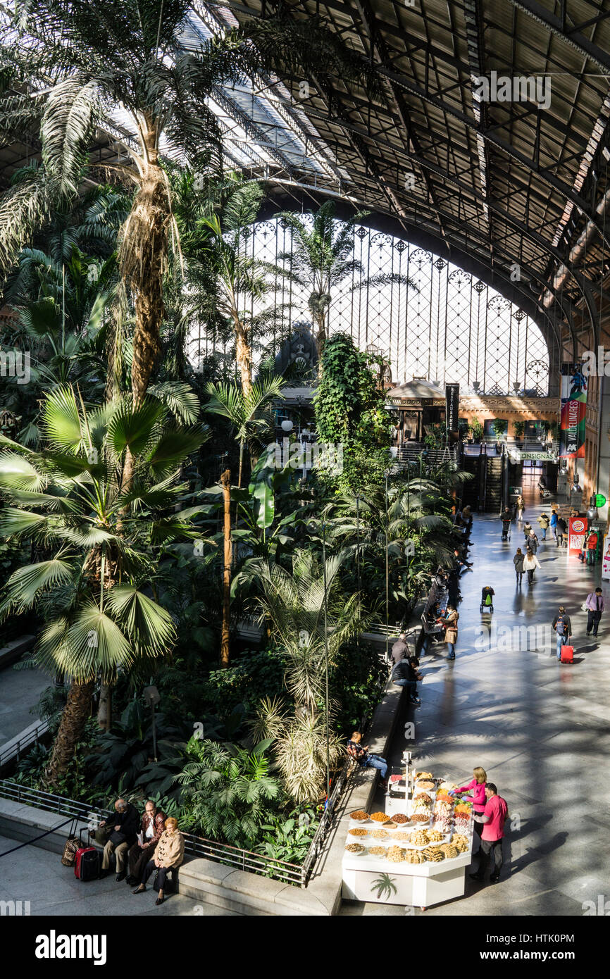 La gare Atocha de Madrid (jardin intérieur), Madrid, Espagne. Banque D'Images