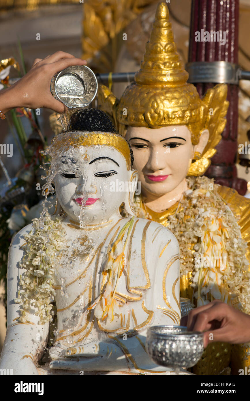 La pagode Shwedagon, Yangon, Myanmar, le 12 mars 2017. Les dévots bouddhistes se baigner un bouddha associée avec le jour de leur naissance au cours de l'Tabuang festival pleine lune. La pleine lune est une période importante pour les pèlerins de se rendre au Myanmar pagode bouddhiste le plus sacré. Tabuang la pleine lune est le plus propice et se produit chaque année au mois de mars. Crédit : Trevor Thompson/Alamy Live News Banque D'Images