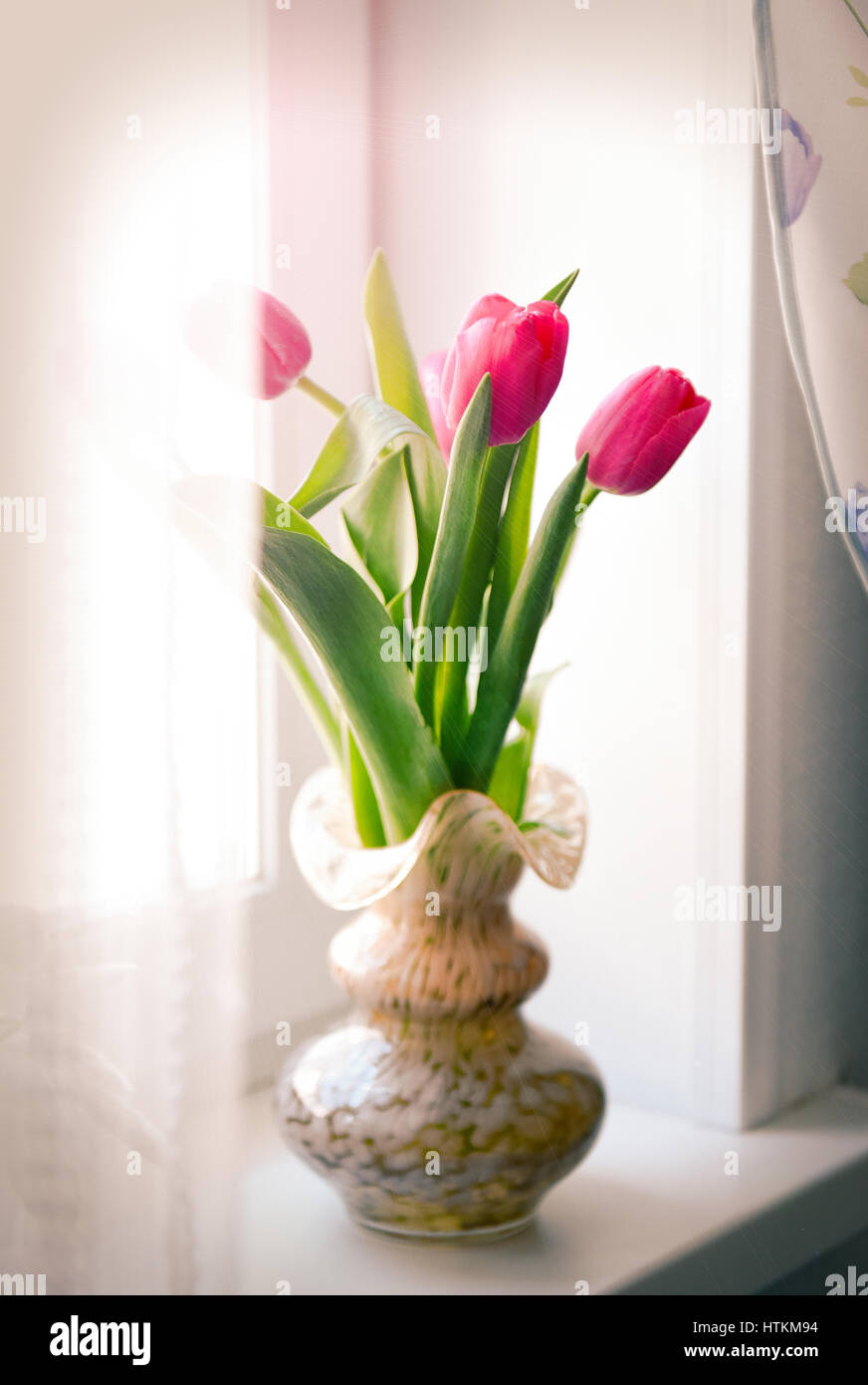 Beau bouquet de tulipes dans un vase de verre à vitre avec printemps nature Banque D'Images