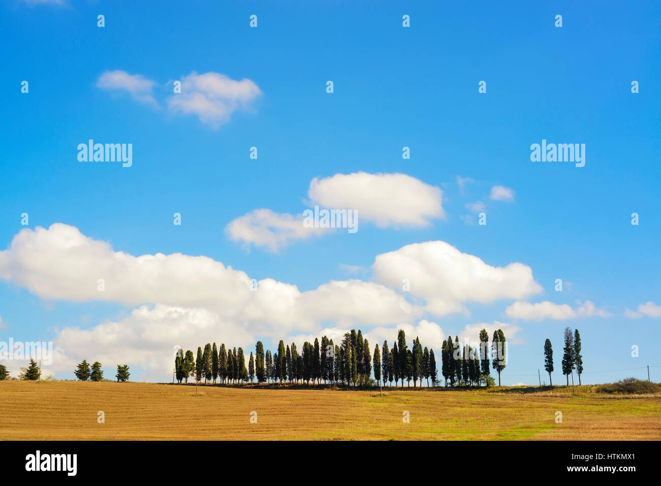 Cyprès rangées sur hill top, paysage rural en terre de Chianti près de Florence. La Toscane, Italie, Europe. Banque D'Images