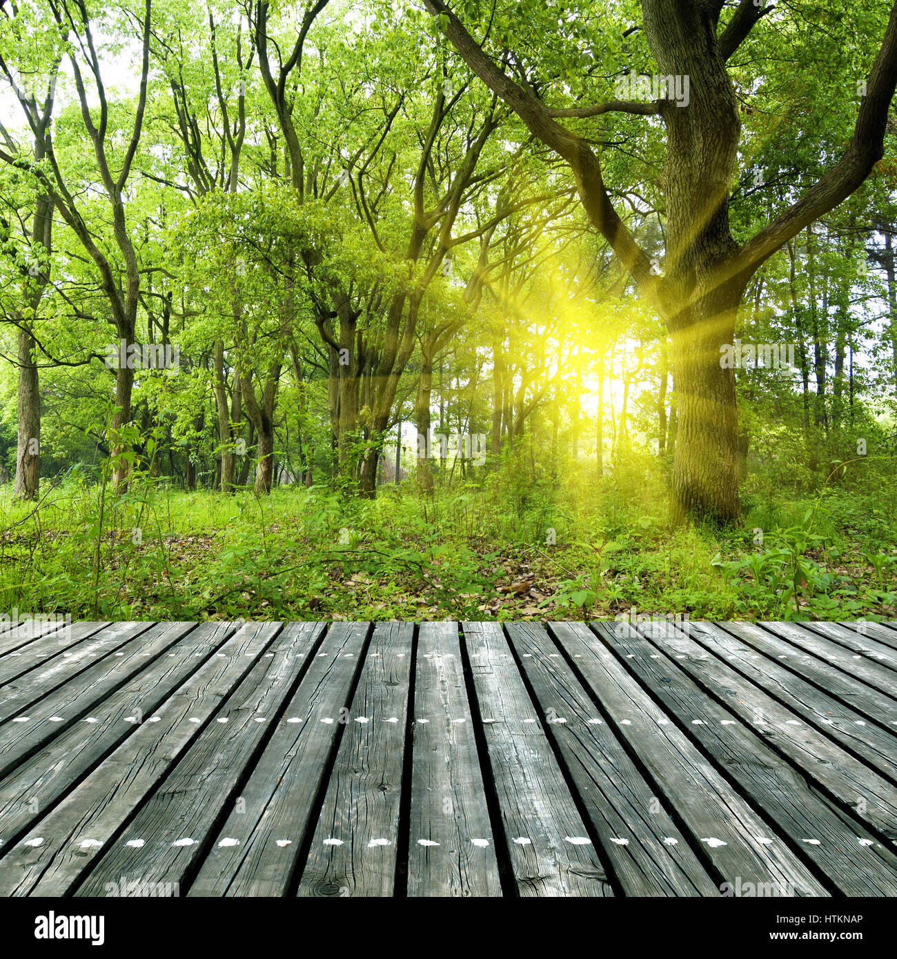 Woods sous le soleil, la structure en bois de la plate-forme. Banque D'Images