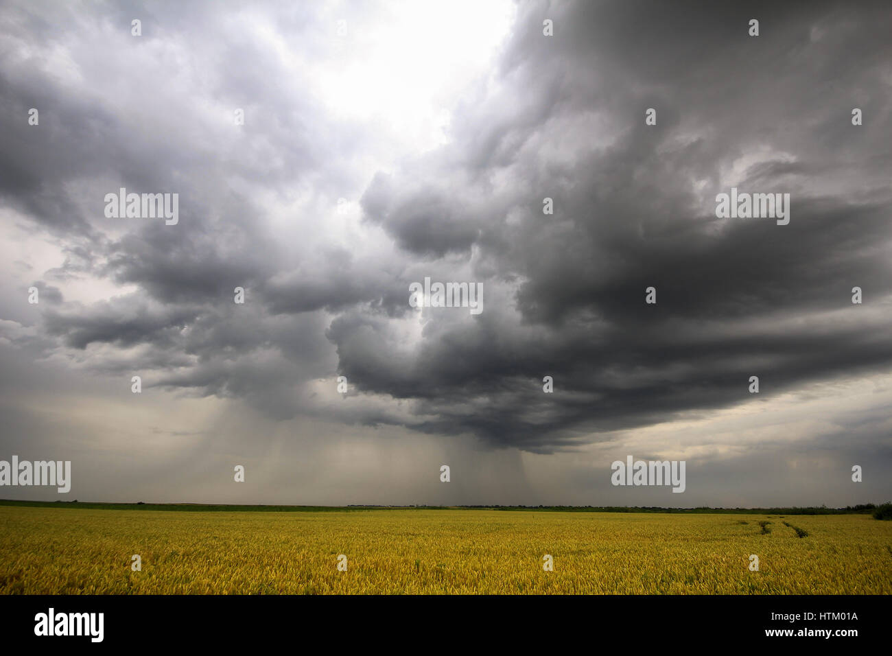 Photo d'un ciel d'orage en été Banque D'Images