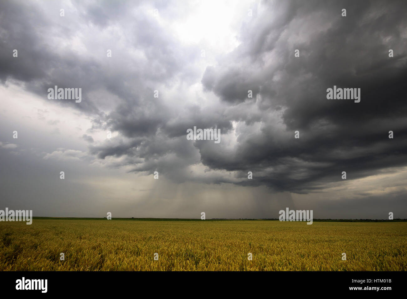 Photo d'un ciel d'orage en été Banque D'Images