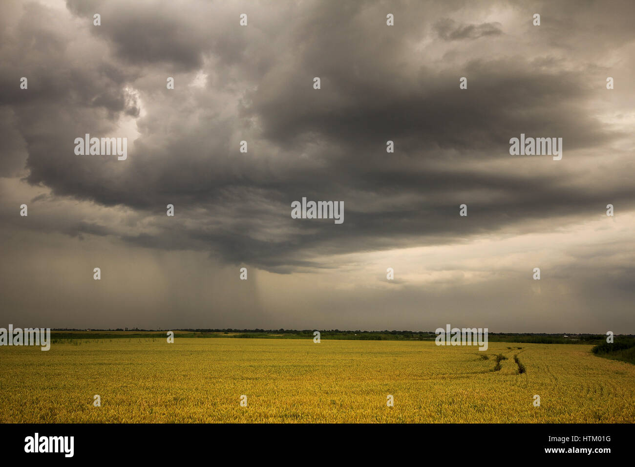 Photo d'un ciel d'orage en été Banque D'Images