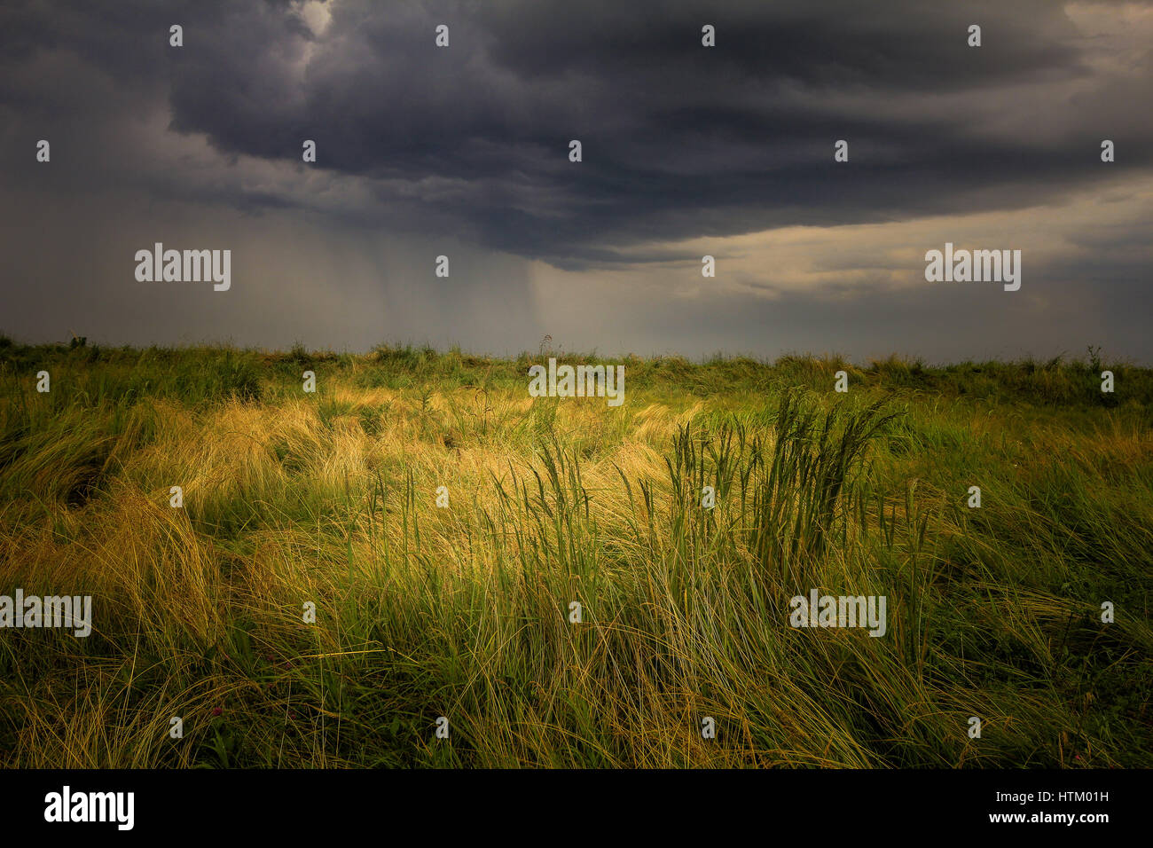 Photo d'un ciel d'orage en été Banque D'Images