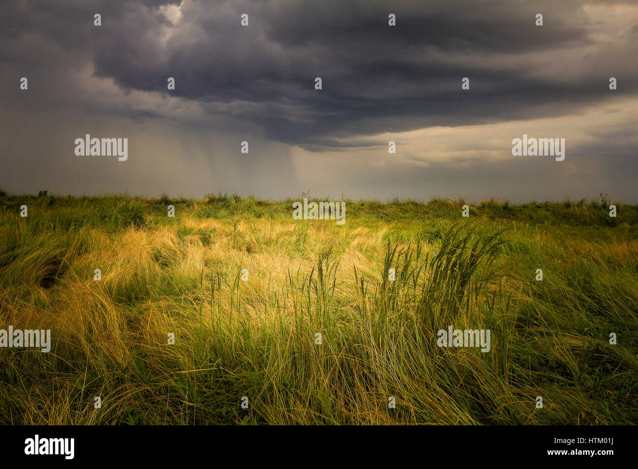Photo d'un ciel d'orage en été Banque D'Images