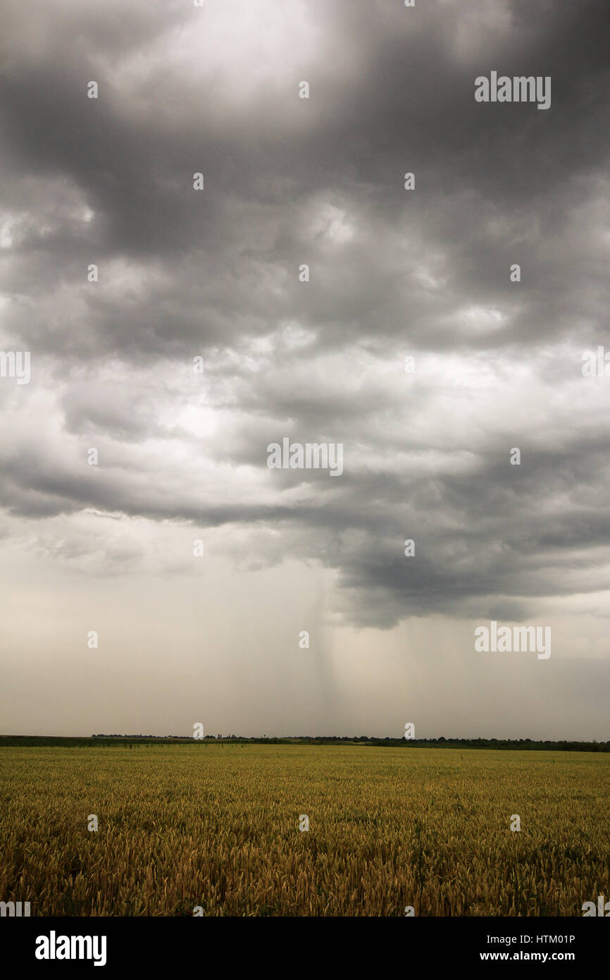 Photo d'un ciel d'orage en été Banque D'Images