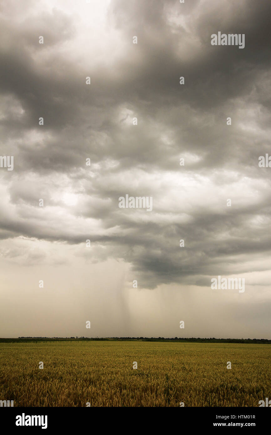 Photo d'un ciel d'orage en été Banque D'Images