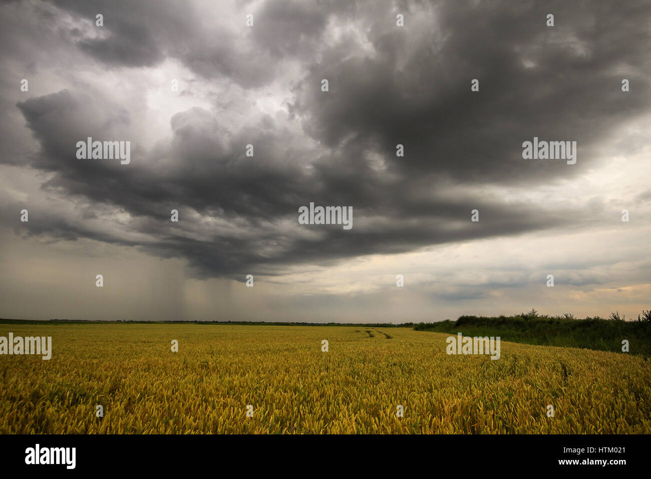 Photo d'un ciel d'orage en été Banque D'Images