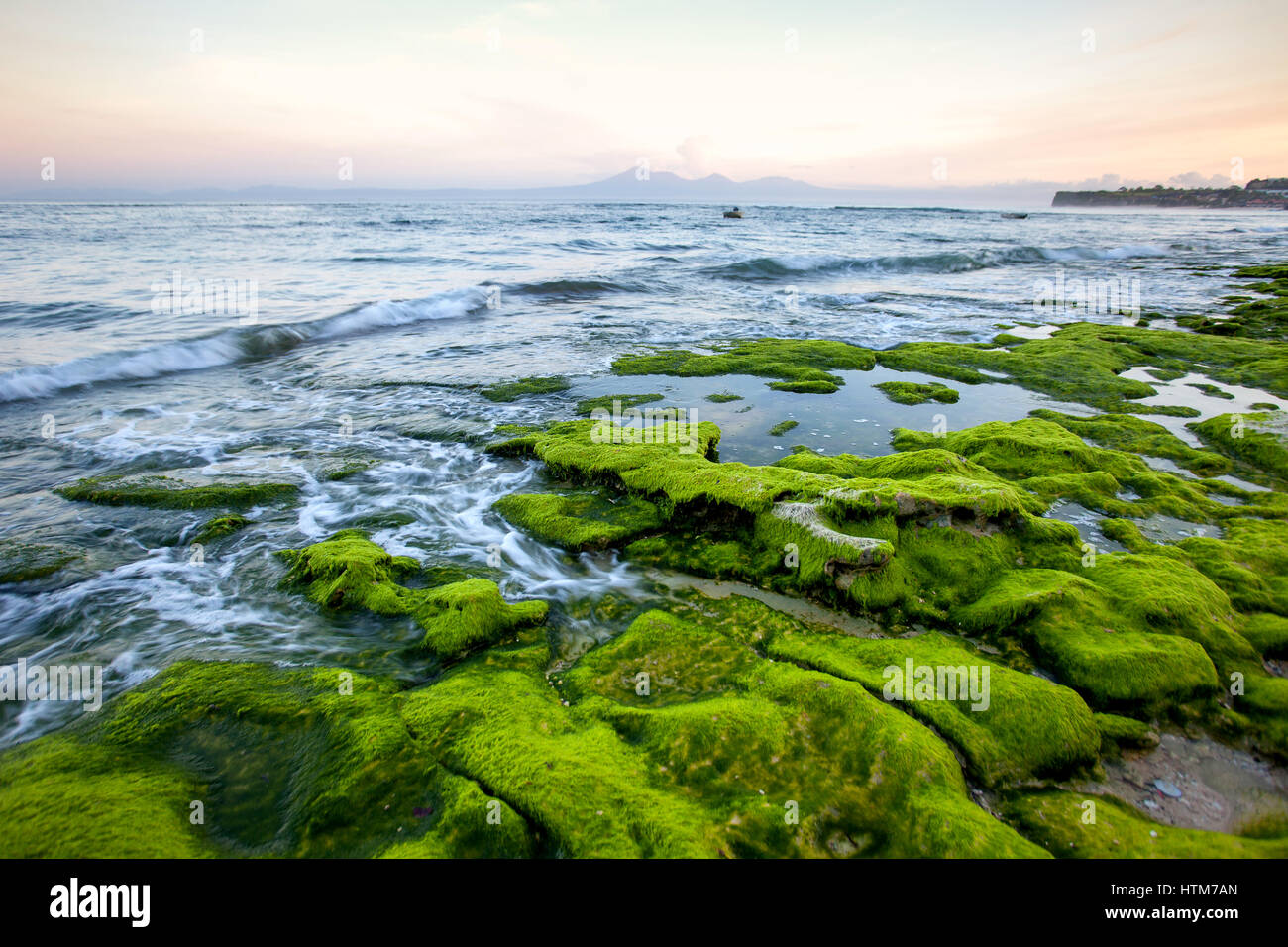 Côte rocheuse couverte d'algues vertes, face à la mer tôt le matin avec une vue sur le volcan et les montagnes. Indonésie Bali Banque D'Images