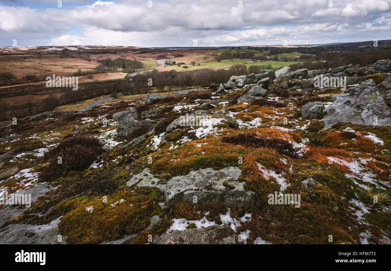 North York Moors en ressort avec une pincée d'herbes et fleurs de neige et une ferme à l'horizon près de Goathland, Yorkshire, UK. Banque D'Images