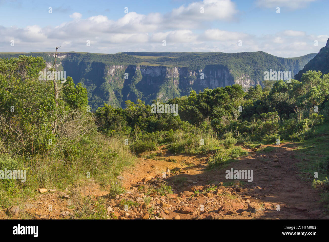 Trail et la végétation autour de Fortaleza Canyon, Cambara do Sul, Rio Grande do Sul, Brésil Banque D'Images