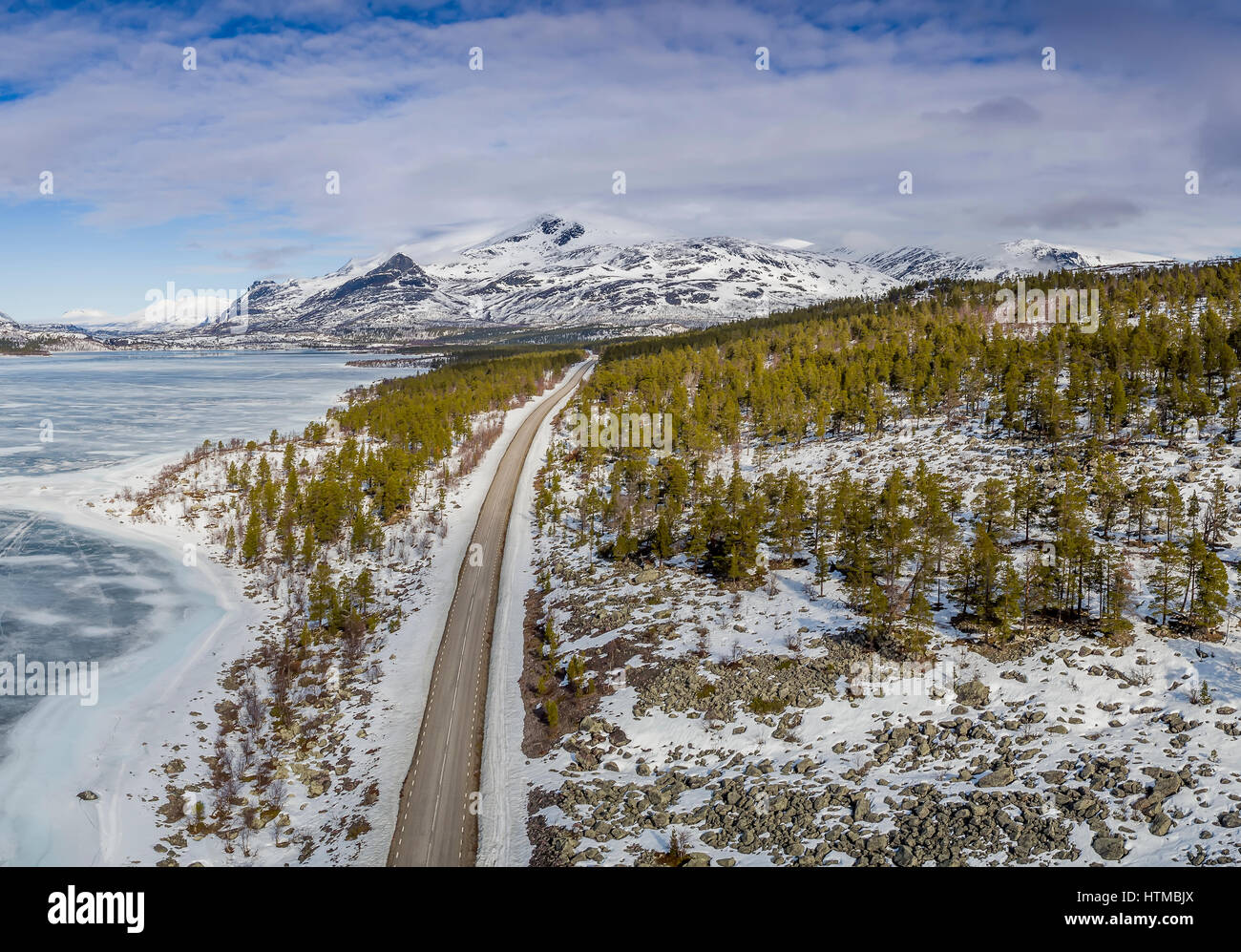 Superficie forestière, Laponia, Laponie, forêt en Laponia Area, Stora Sjofallet Parc National, Laponie, zone du patrimoine mondial. Banque D'Images