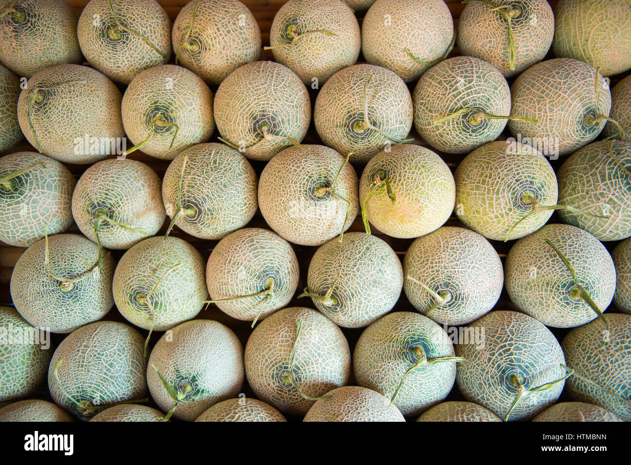 Durée du marché en tas de cantaloup Banque D'Images