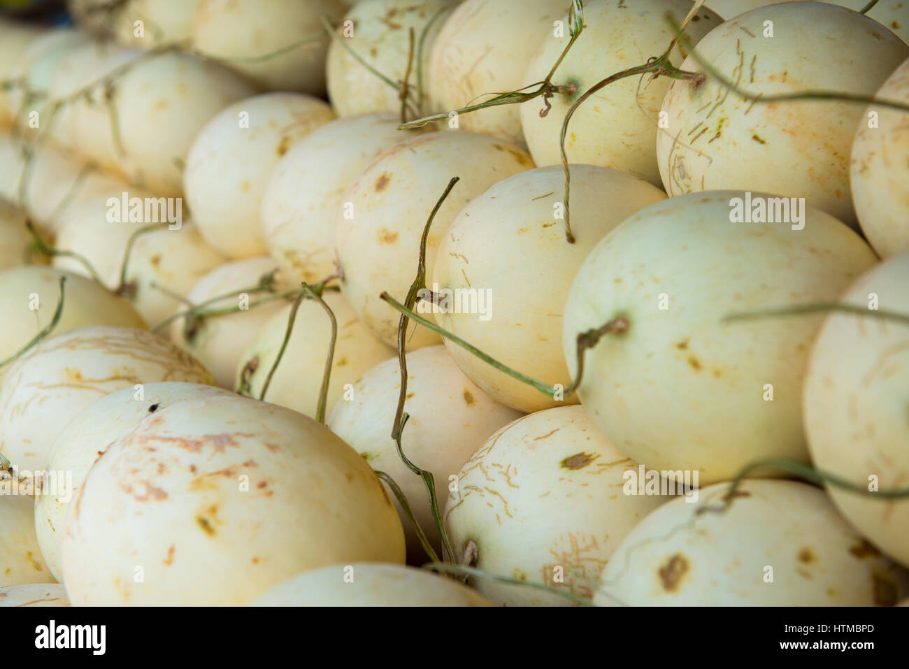 Durée du marché en tas de melon Banque D'Images