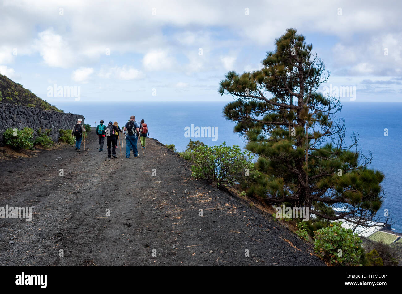 Sentier de randonnée, Fuencaliente. La Palma. Les randonneurs touristiques marchant le long d'une route volcanique sur leur randonnée guidée dans la région de Fuencaliente de La Palma. Un arbre de pin Canarien est capable de croître sur les côtés abrupts des montagnes ou le volcan ridge. Banque D'Images