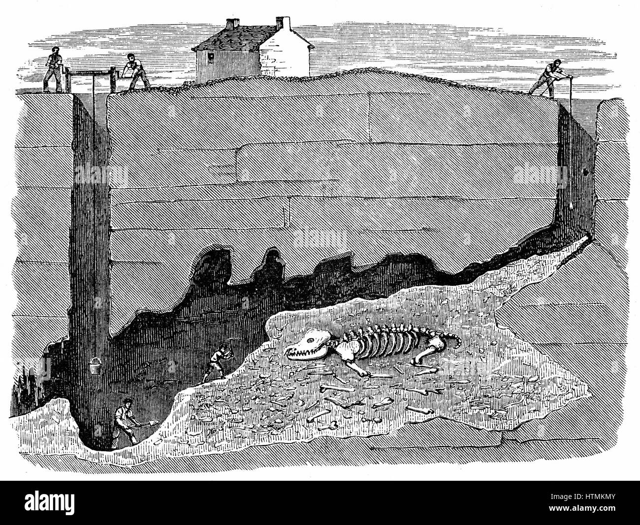 Vue en coupe transversale de Mine de plomb de rêve, près de Wirksworth, dans le Derbyshire, montrant le fonctionnement et la position dans laquelle squelette de rhinoceros a été découvert. La gravure sur bois 1881 Banque D'Images