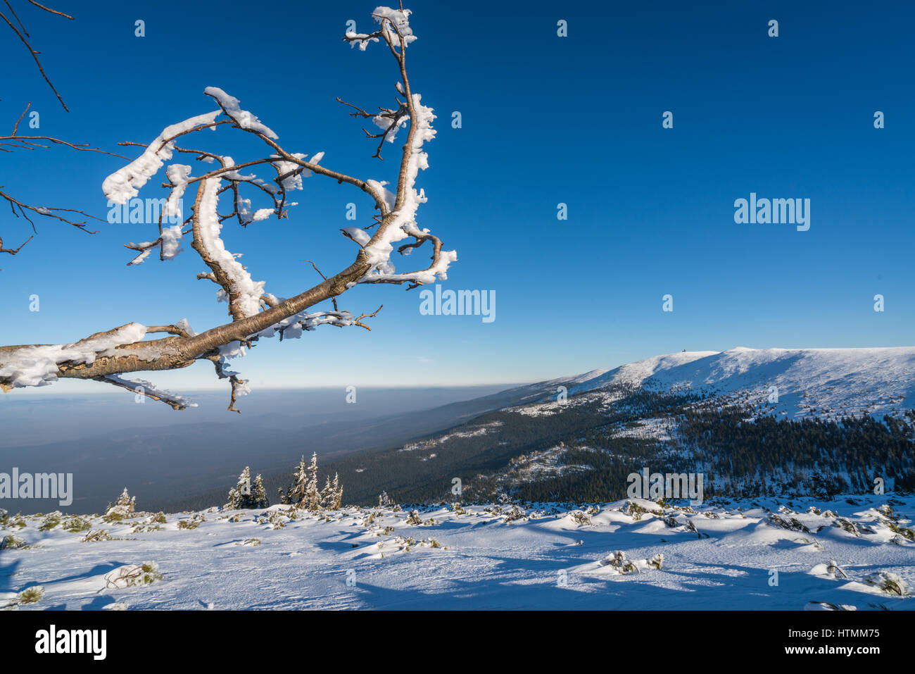 Paysage d'hiver d'une montagnes de Karkonosze vu de la montagne Szrenica, Pologne Banque D'Images