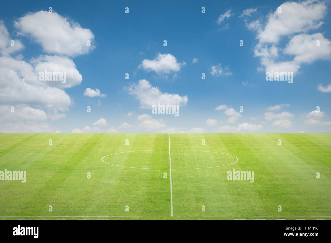 Terrain de soccer vert avec la ligne Banque D'Images