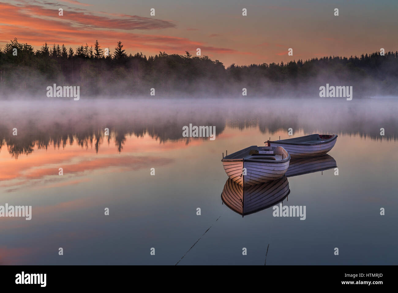 Misty, Loch Rusky, Aberfoyle, Ecosse Banque D'Images