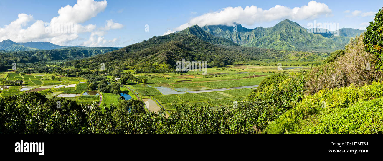 Paysage de Kauai. Prises depuis le nord de Kauai, dans l'archipel hawaïen, regardant vers le Mont Wai'ale'ale, les îles plus haut point Banque D'Images