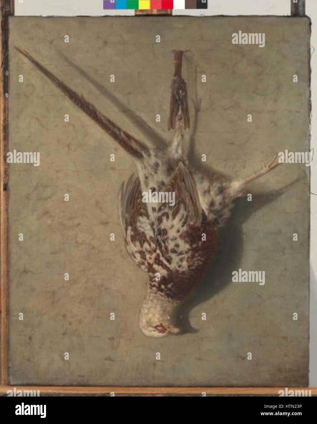 Karel Purkyne 11. 3. 1834-z 5. na 6. 4. 1868 - Bily bazant Banque D'Images