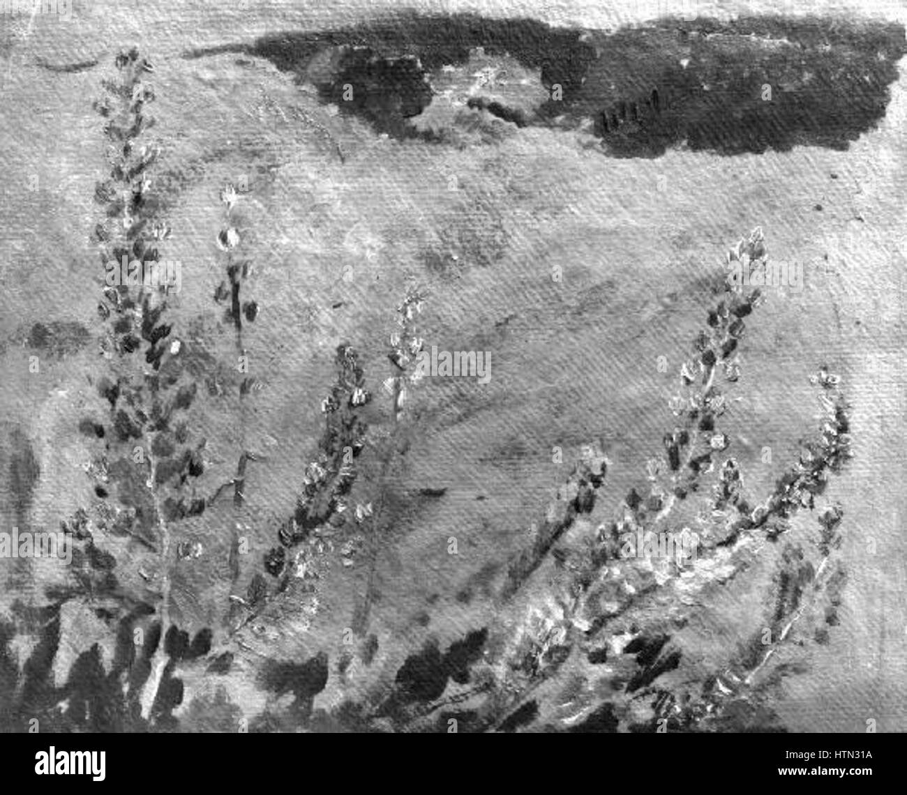 La « modre kvety » (fleurs bleues) de Karel Spillar de 1906 présente un délicat bouquet de fleurs bleues, démontrant l'intérêt de l'artiste pour les couleurs vibrantes et la nature. Banque D'Images
