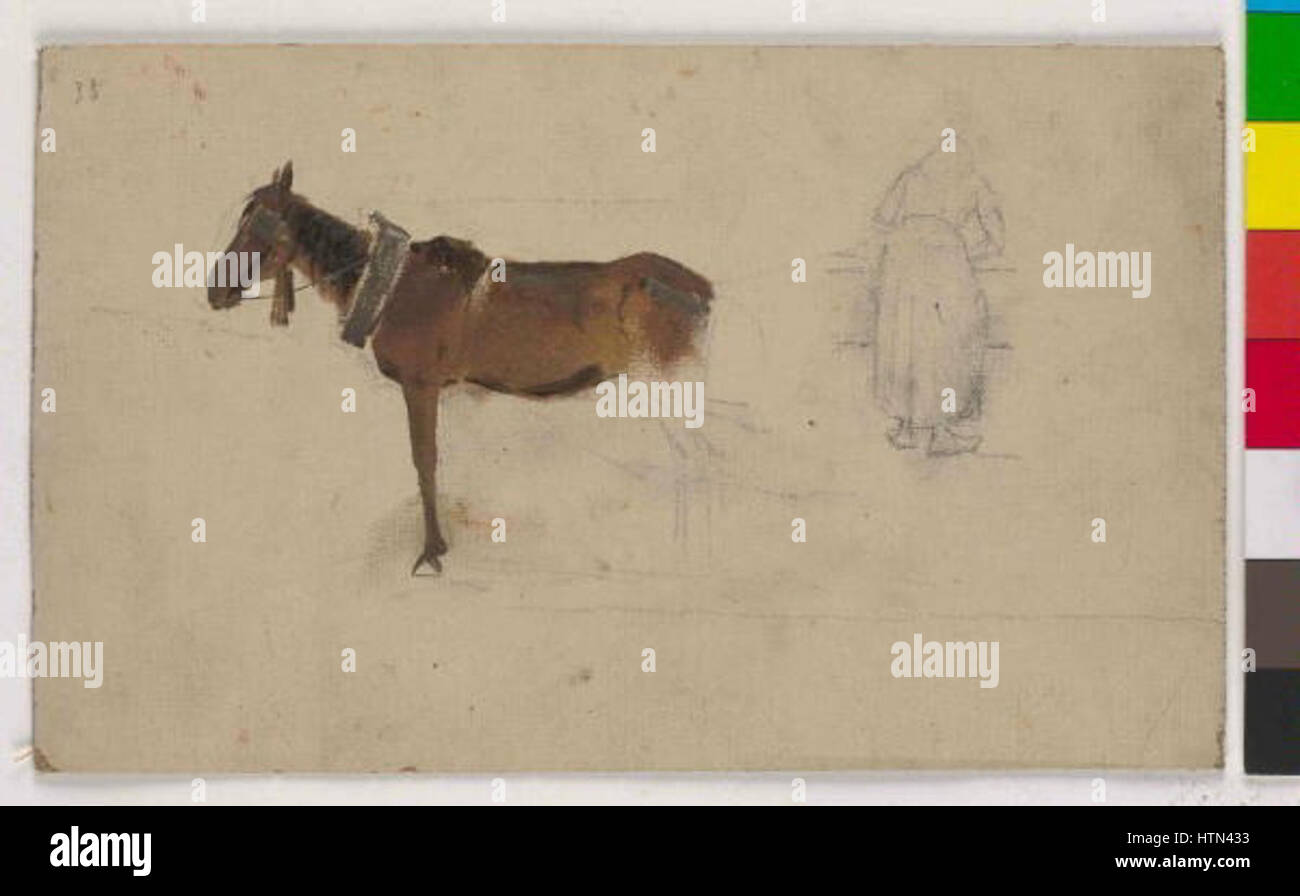 Le 'Studie kone' de Karel Javurek est une étude détaillée d'un cheval, démontrant l'observation et l'habileté de l'artiste dans le rendu des animaux. Son travail capture la forme et la grâce du cheval dans les moindres détails. Banque D'Images