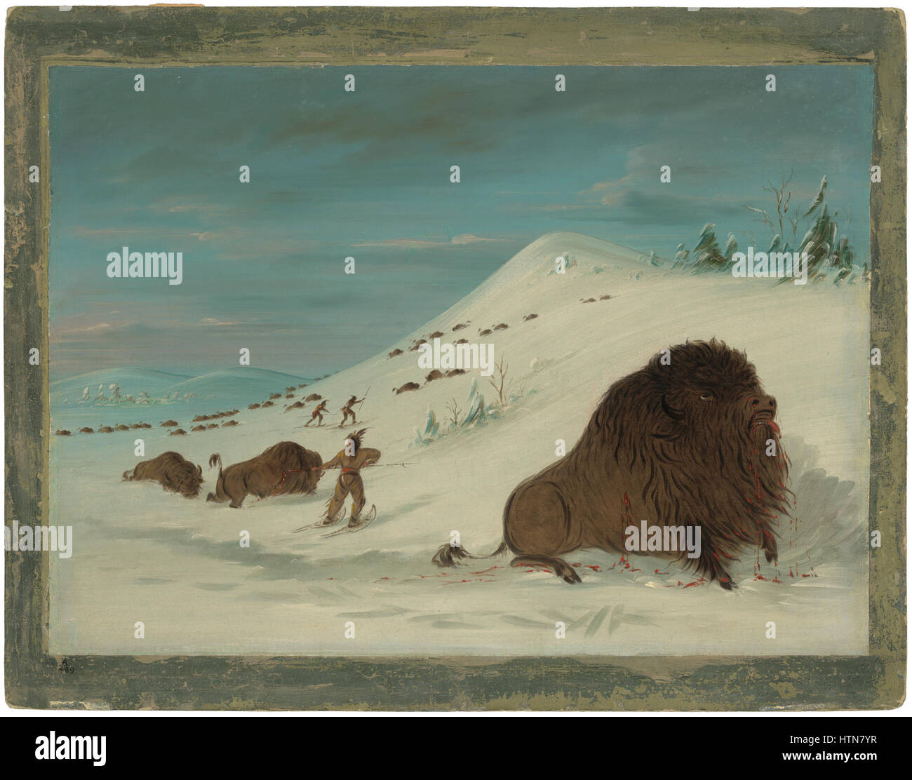 Dans l'autopiqueur Buffalo Neige - Sioux C15897 Banque D'Images