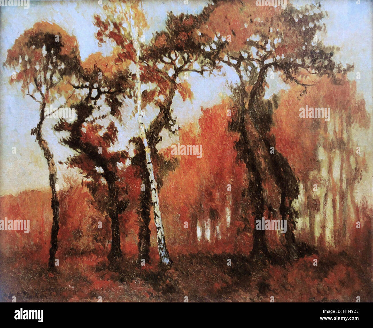 Robert Antoine Pinchon, sous bois d'automne, huile sur toile, 60 x 73 cm Banque D'Images