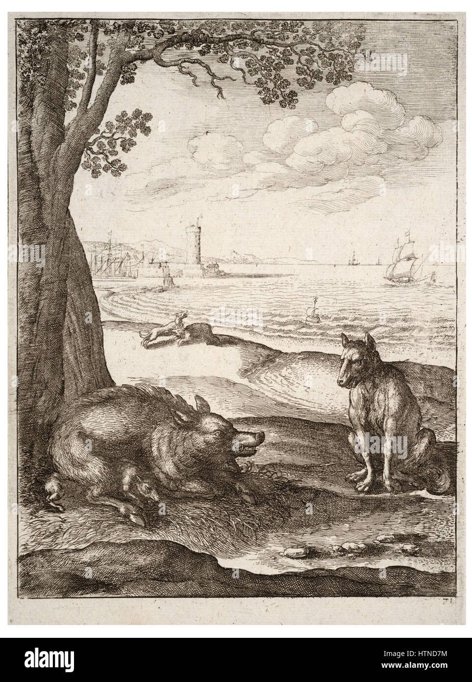La gravure de Venceslas Hollar, « le loup et la truie » (État 2), est une représentation expressive du règne animal, mêlant réalisme et allégorie, reflétant la fascination de l’époque pour la nature et les contes moraux. Banque D'Images
