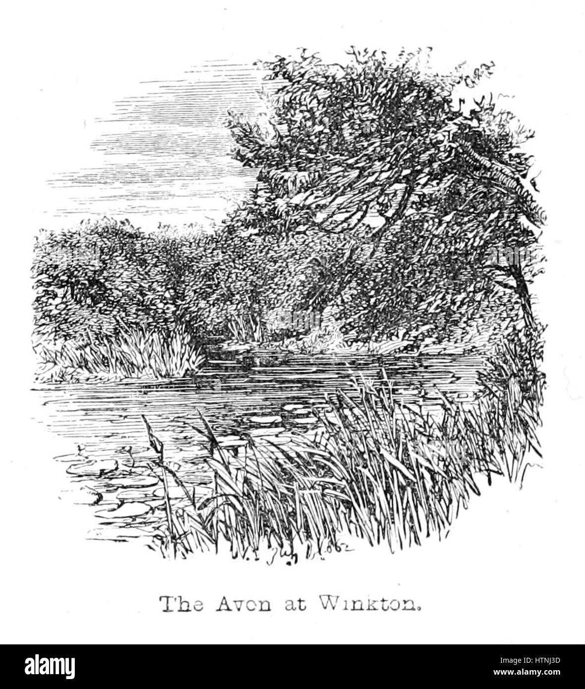 La nouvelle forêt son histoire et ses paysages - page 128 Banque D'Images