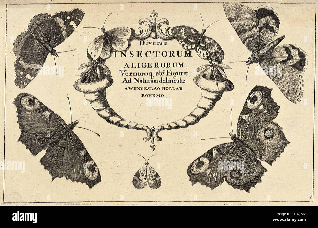 La gravure 'Title 6' de Wenceslas Hollar est une œuvre finement détaillée qui démontre son expertise en gravure au trait. La pièce, produite au XVIIe siècle, montre l'habileté de Hollar à dépeindre des paysages complexes et des éléments architecturaux, typiques de son style détaillé qui a influencé la gravure européenne. Banque D'Images