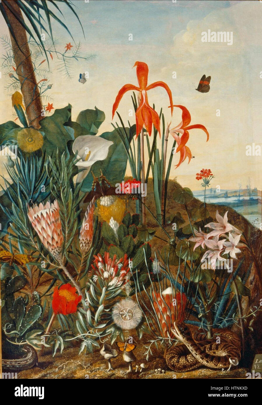 Laurens van der Vinne - Hortus Leiden c.1750 -02657 Venne bloemstilleven Banque D'Images