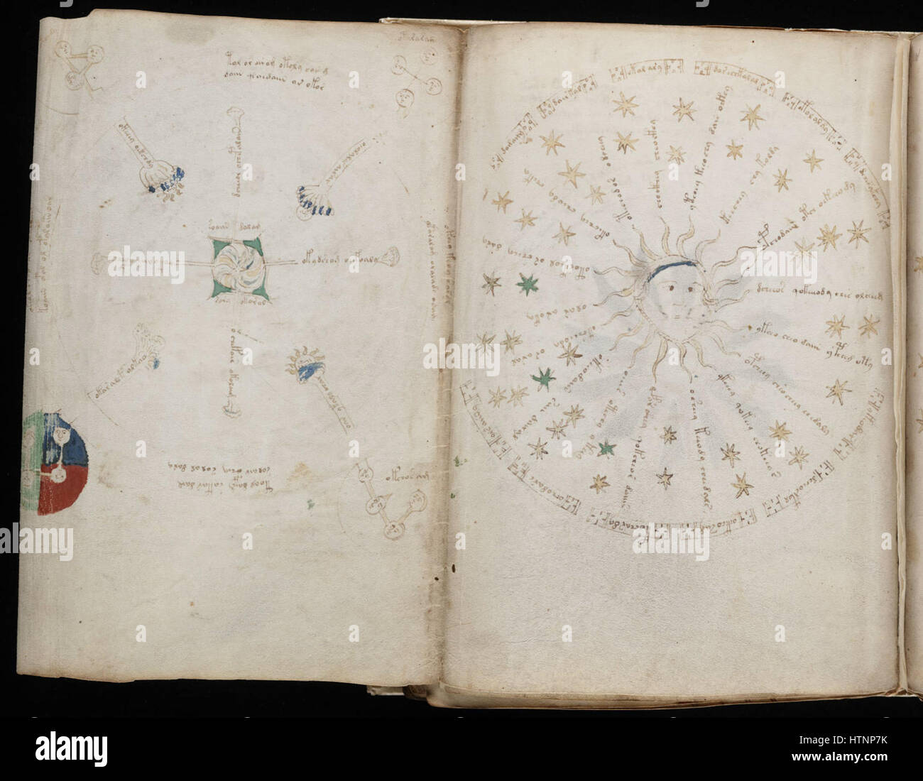 Manuscrit de Voynich (122) Banque D'Images