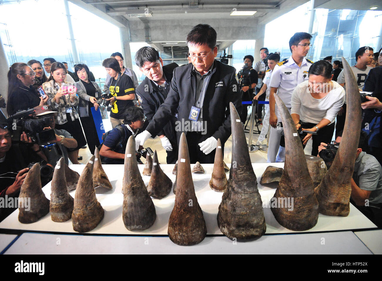 Bangkok, Thaïlande. 14Th Mar, 2017. Un fonctionnaire des douanes ont saisi montre les cornes de rhinocéros à la presse à l'aéroport de Suvarnabhumi à Bangkok, Thaïlande, 14 mars 2017. L'administration des douanes thaïlandaises ont récemment saisi 21 morceaux de cornes de rhinocéros en contrebande à partir de l'Éthiopie. Credit : Rachen Sageamsak/Xinhua/Alamy Live News Banque D'Images