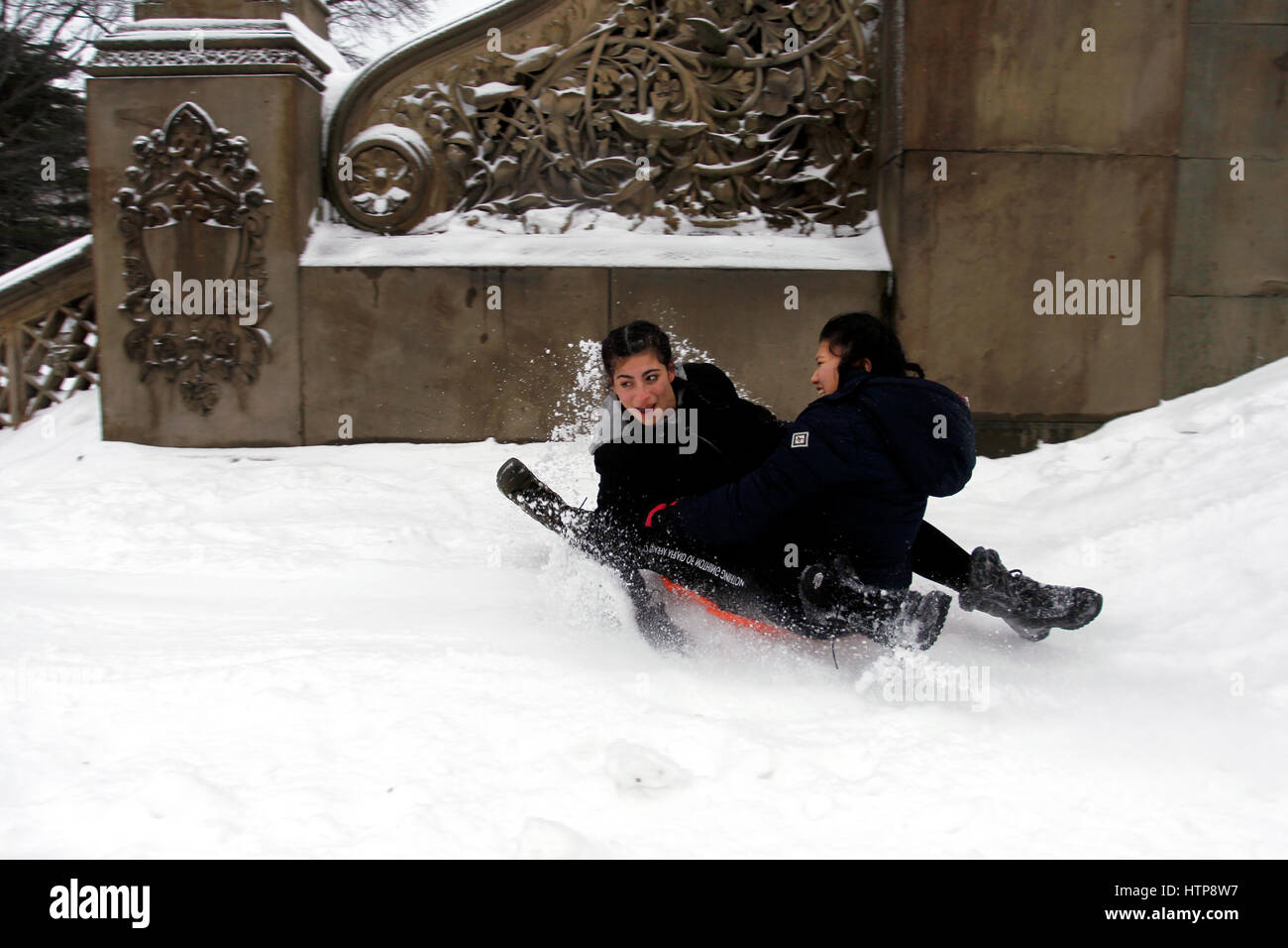 New York, États-Unis. 14Th Mar, 2017. Les jeunes chiens dans l'escalier près de la fontaine Bethesda de Central Park à New York pendant une tempête le 14 mars 2017, qui a été prédit à apporter jusqu'à deux pieds de neige à la ville mais seulement a 7 pouces. Les écoles fermées et la ville était relativement calme que beaucoup sont restés à la maison, mais certains se sont aventurés hors de s'amuser dans le parc. Crédit : Adam Stoltman/Alamy Live News Banque D'Images