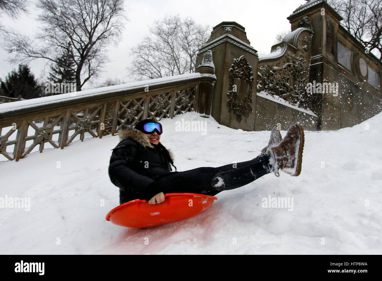 New York, États-Unis. 14Th Mar, 2017. Les jeunes chiens dans l'escalier près de la fontaine Bethesda de Central Park à New York pendant une tempête le 14 mars 2017, qui a été prédit à apporter jusqu'à deux pieds de neige à la ville mais seulement a 7 pouces. Les écoles fermées et la ville était relativement calme que beaucoup sont restés à la maison, mais certains se sont aventurés hors de s'amuser dans le parc. Crédit : Adam Stoltman/Alamy Live News Banque D'Images