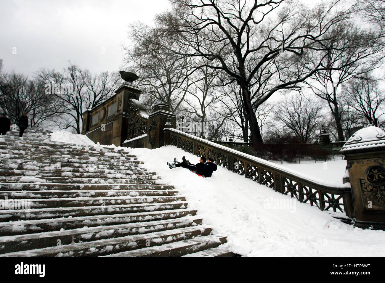 New York, États-Unis. 14Th Mar, 2017. Les jeunes chiens dans l'escalier près de la fontaine Bethesda de Central Park à New York pendant une tempête le 14 mars 2017, qui a été prédit à apporter jusqu'à deux pieds de neige à la ville mais seulement a 7 pouces. Les écoles fermées et la ville était relativement calme que beaucoup sont restés à la maison, mais certains se sont aventurés hors de s'amuser dans le parc. Crédit : Adam Stoltman/Alamy Live News Banque D'Images