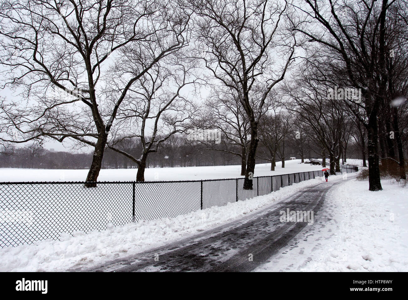New York, États-Unis. 14Th Mar, 2017. Une femme jouit d'une promenade à travers la ville de New York's Central Park, pendant une tempête le 14 mars 2017, qui a été prédit à apporter jusqu'à deux pieds de neige à la ville mais seulement a 7 pouces. Les écoles fermées et la ville était relativement calme que beaucoup sont restés à la maison, mais certains se sont aventurés hors de s'amuser dans le parc. Crédit : Adam Stoltman/Alamy Live News Banque D'Images