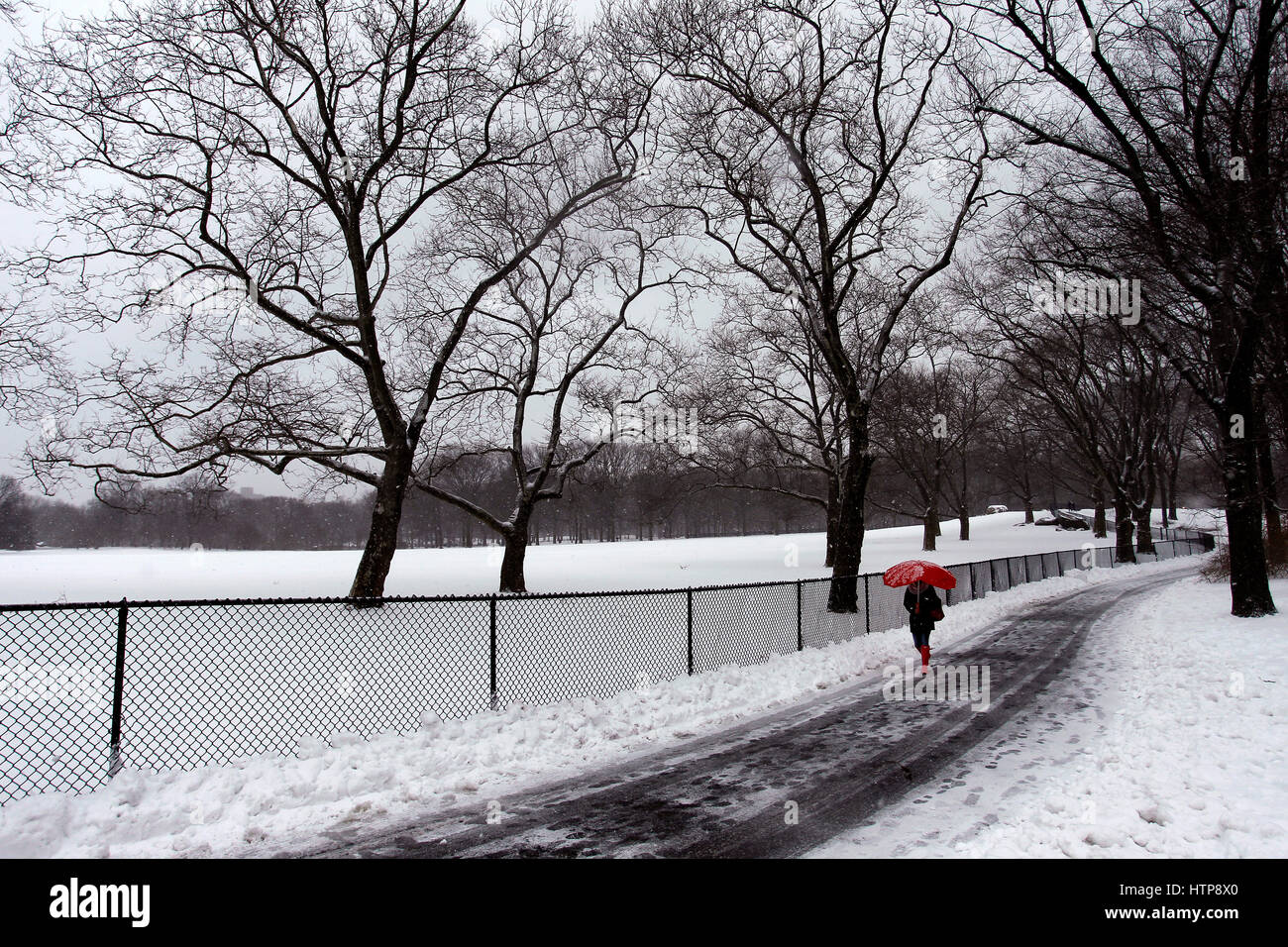 New York, États-Unis. 14Th Mar, 2017. Une femme jouit d'une promenade à travers la ville de New York's Central Park, pendant une tempête le 14 mars 2017, qui a été prédit à apporter jusqu'à deux pieds de neige à la ville mais seulement a 7 pouces. Les écoles fermées et la ville était relativement calme que beaucoup sont restés à la maison, mais certains se sont aventurés hors de s'amuser dans le parc. Crédit : Adam Stoltman/Alamy Live News Banque D'Images